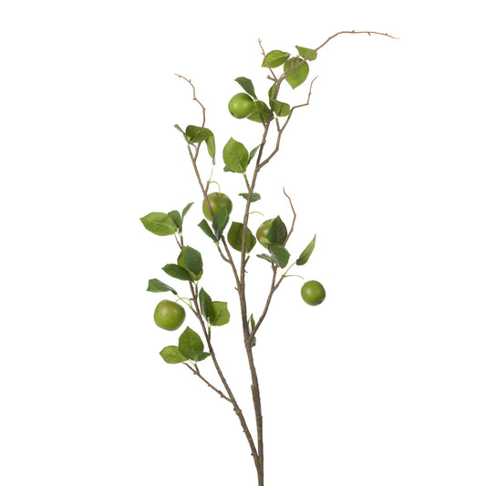 GREEN APPLE BRANCH