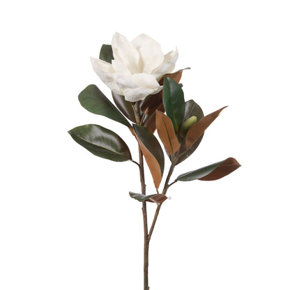 MAGNOLIA BLOOM STEM