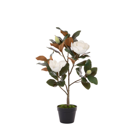 80 CM FAUX MAGNOLIA TREE