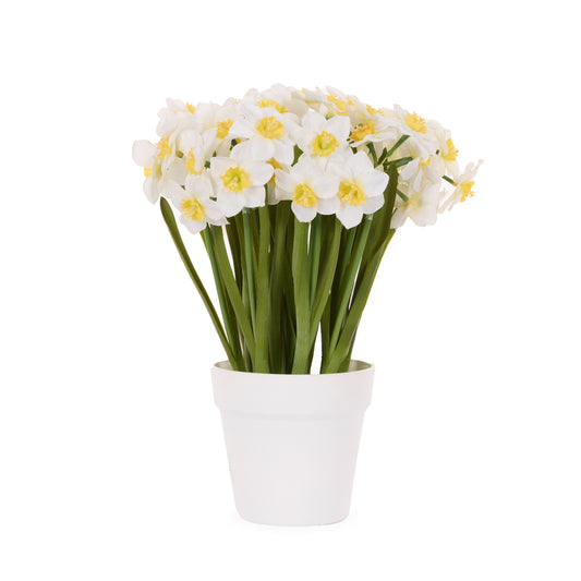 LUXE WHITE JONQUIL POT