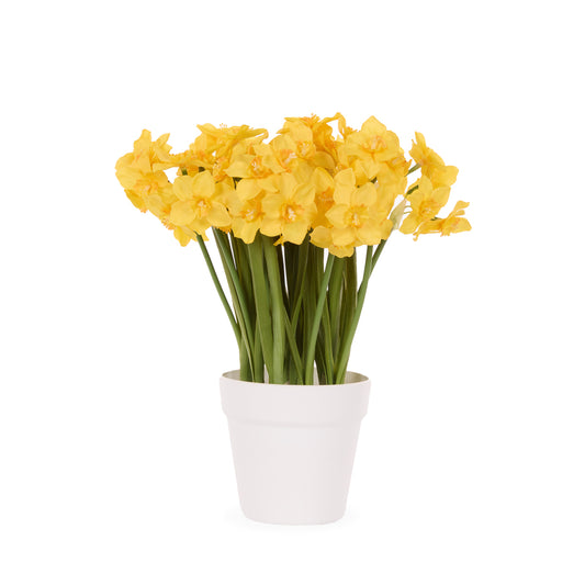 LUXE YELLOW JONQUIL POT
