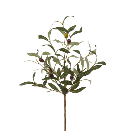 56 CM LUXE OLIVE BRANCH