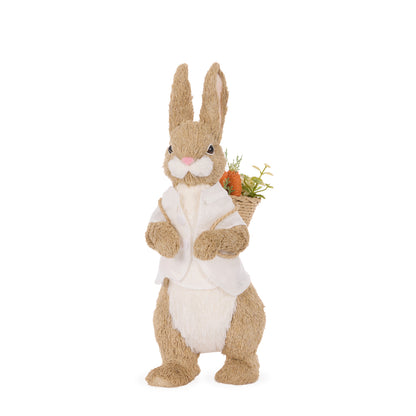 MR DAISY WITH CARROTS