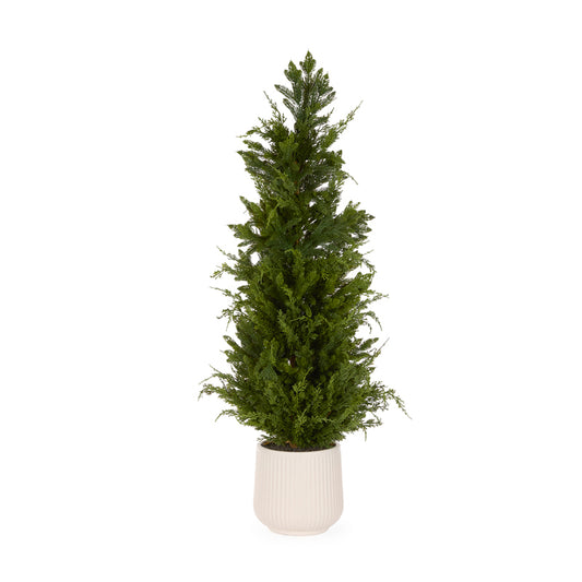 122cm Potted Spruce Tree