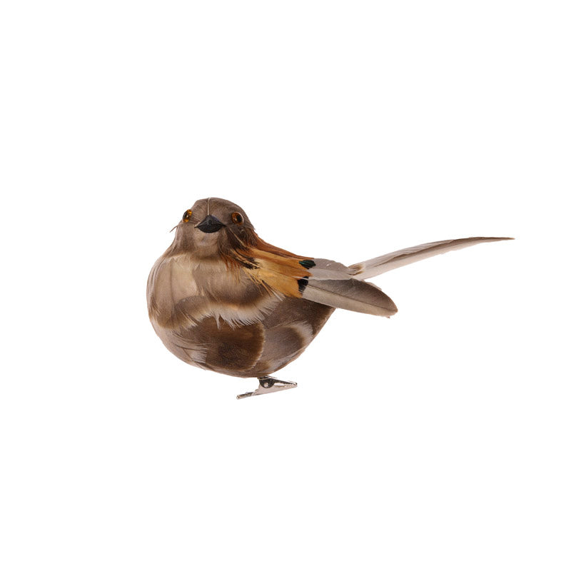NATURAL PUFFLING BIRD