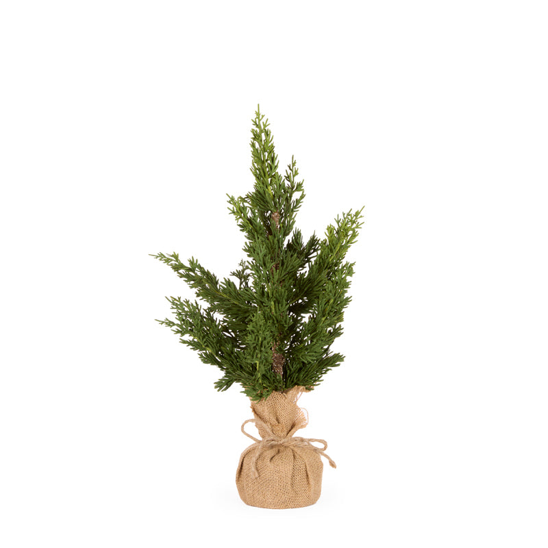 46 CM POTTED CYPRESS TREE