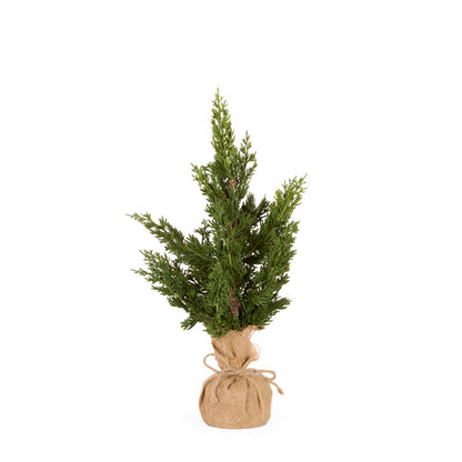 46 CM POTTED CYPRESS TREE