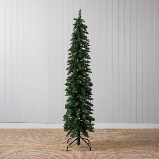 Scandinavian Fir Green 5.5Ft - 100 Led