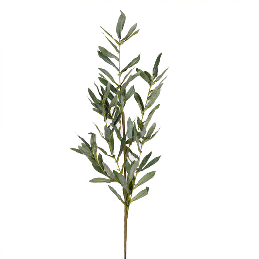 Green Branch with Leaves