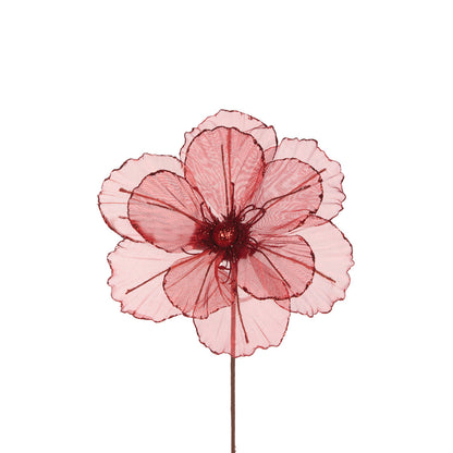 SHEER RED CAMELLIA