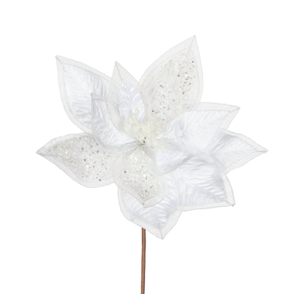White and Sheer Poinsettia