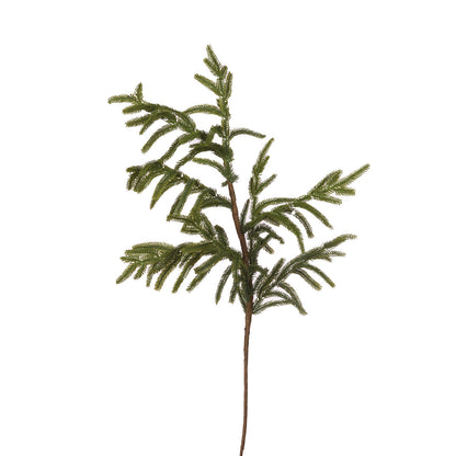 Evergreen Spruce Pick