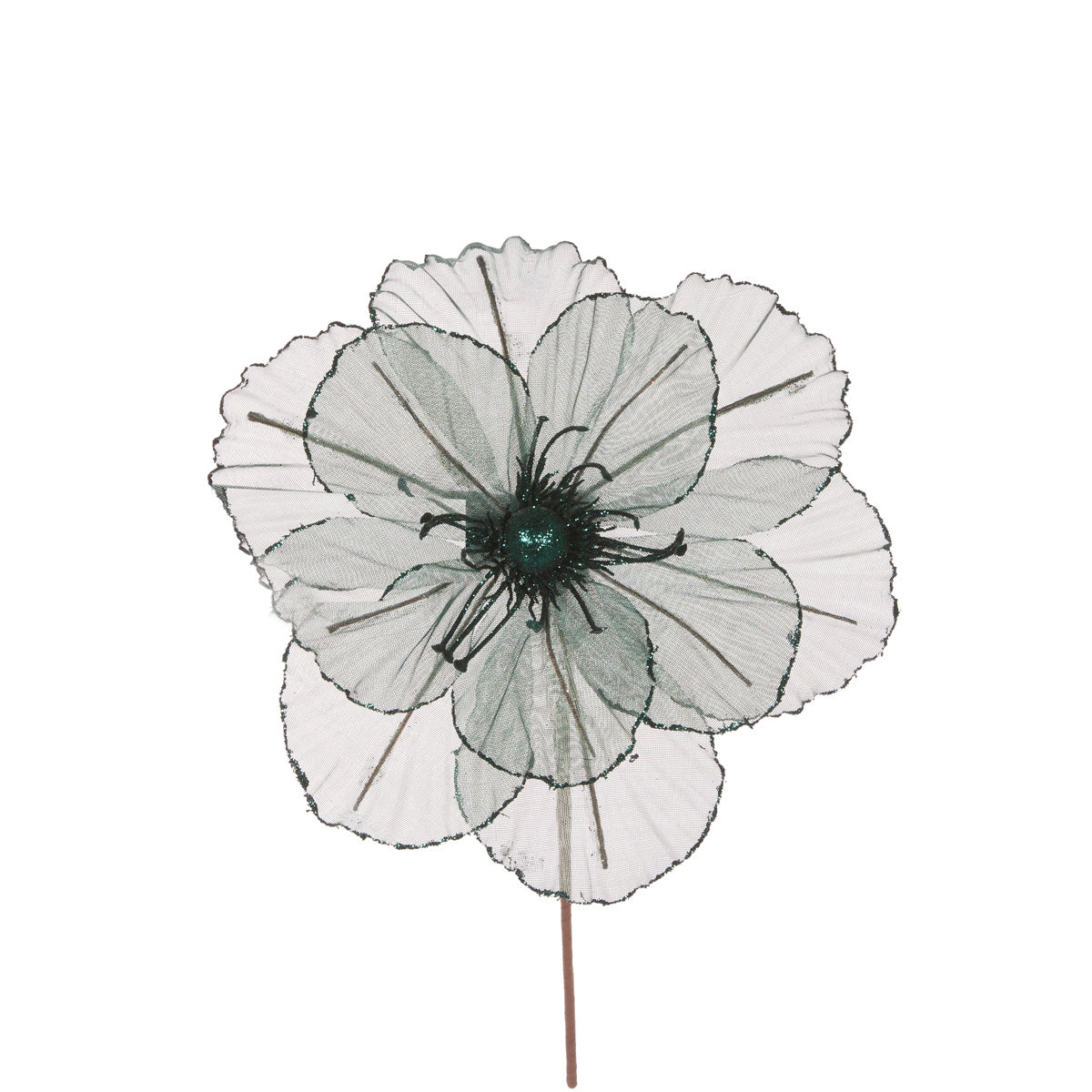 SHEER EMERALD GREEN CAMELLIA