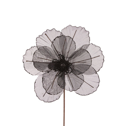 SHEER BLACK CAMELLIA