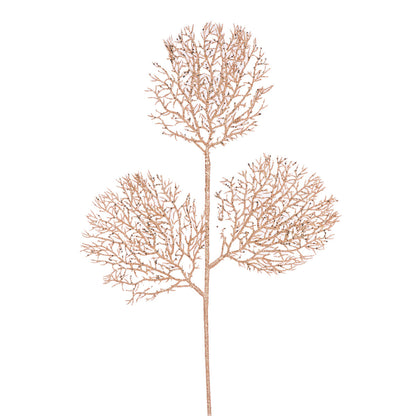 CORAL SEA FAN SPRAY