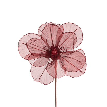 SHEER BURGUNDY CAMELLIA