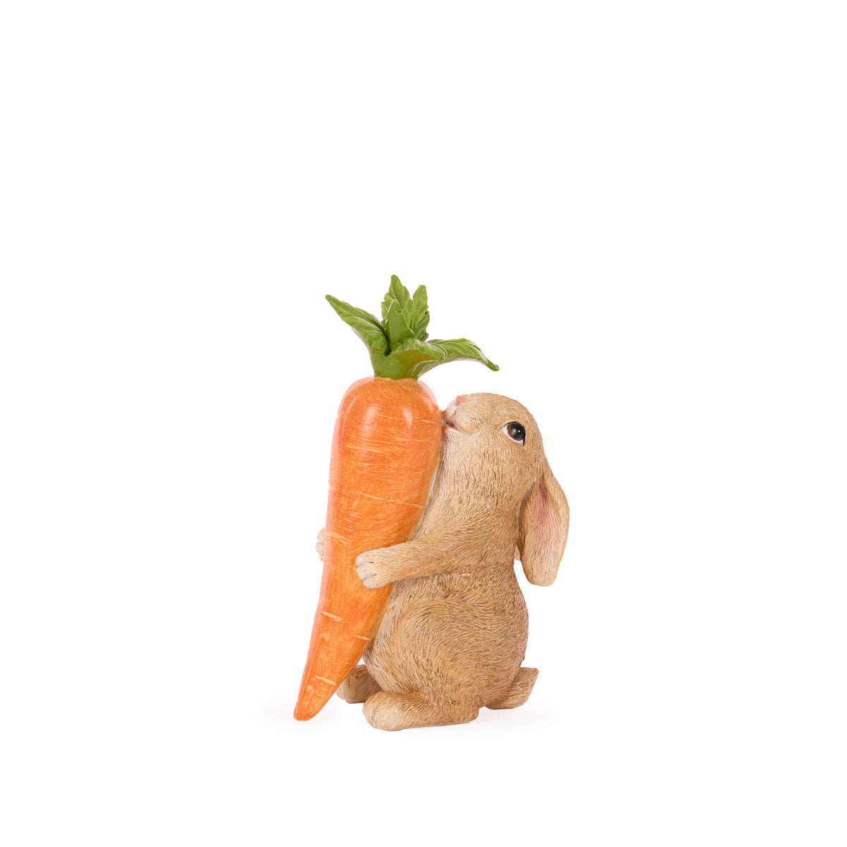 MR RABBIT HUGGING CARROT