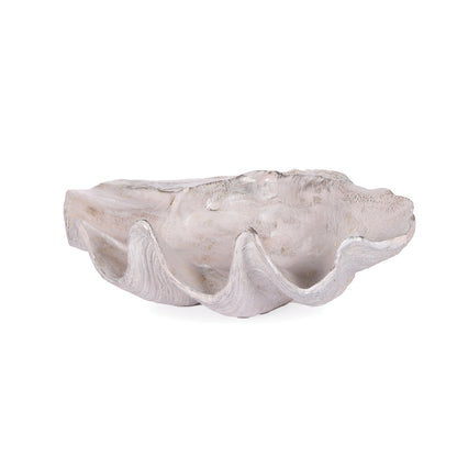 63.5cm Clam Shell