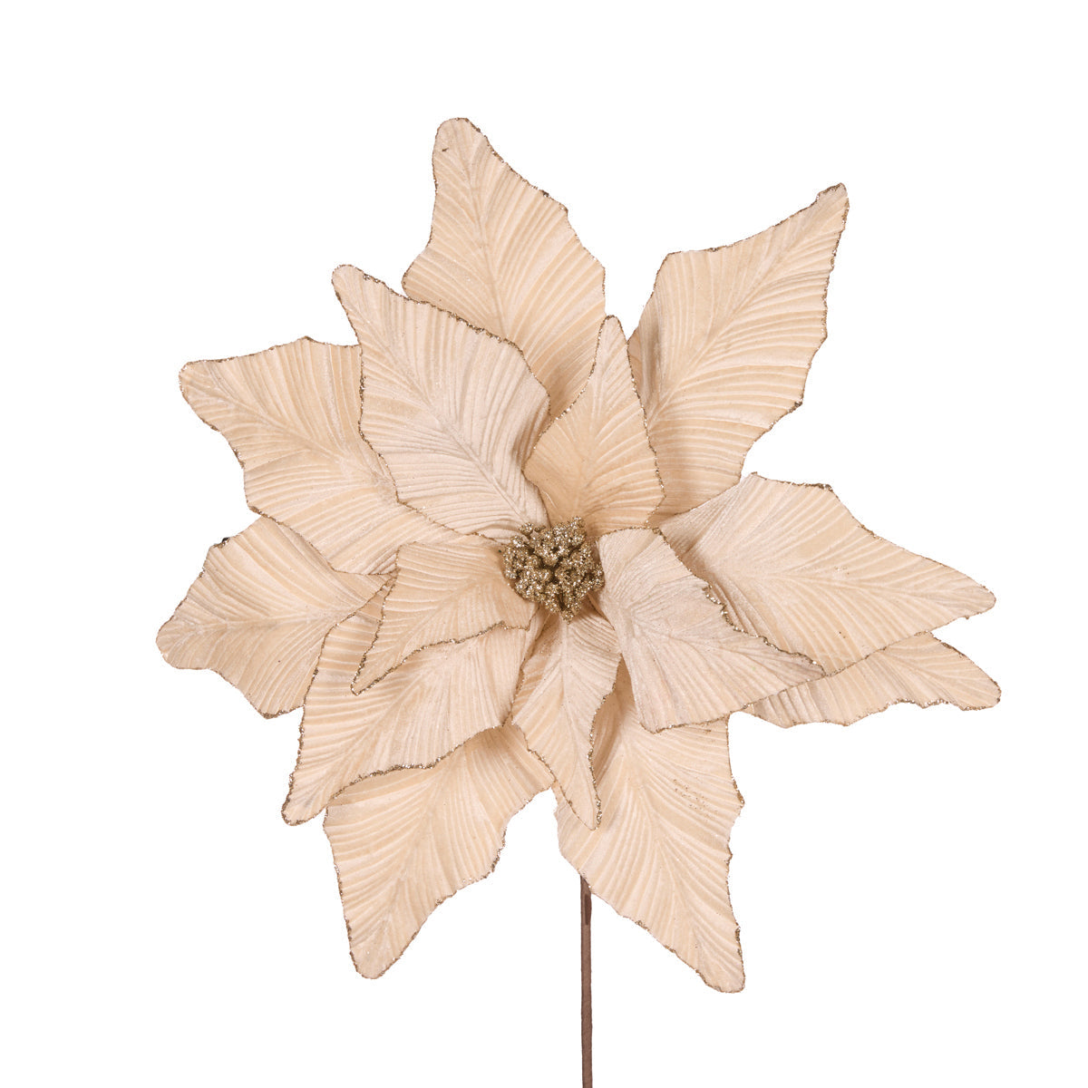 LUXE CHAMPAGNE POINSETTIA