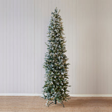 Load image into Gallery viewer, 8 Ft European Fir Snow Tree - 440 Led
