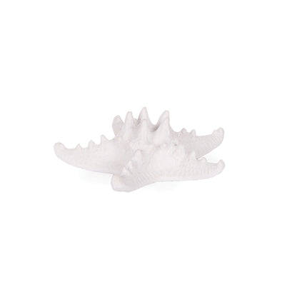 White Starfish
