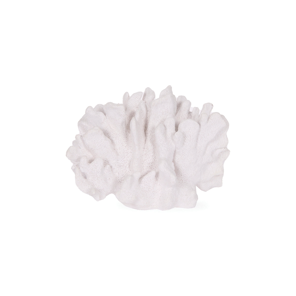 WHITE ROUND CORAL