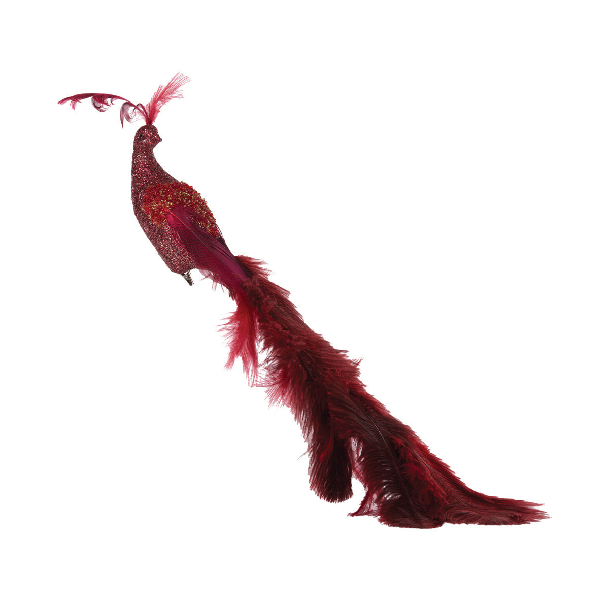 Red Peacock
