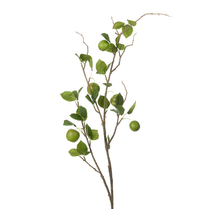 GREEN APPLE BRANCH