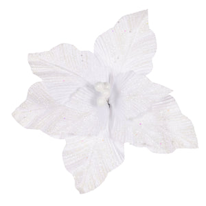 White Clip Flower