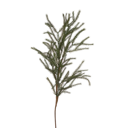 Norwegian Spruce Pick