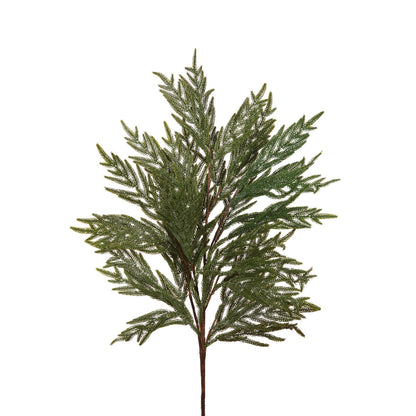 Hinoki Pine Branch