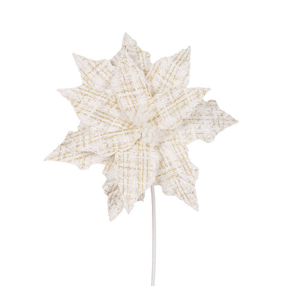 White Tartan Poinsettia