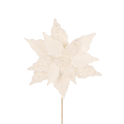 Ivory Pearl Poinsettia