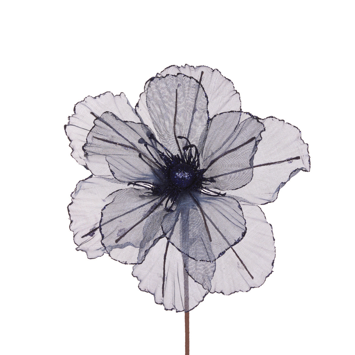 SHEER MIDNIGHT BLUE CAMELLIA