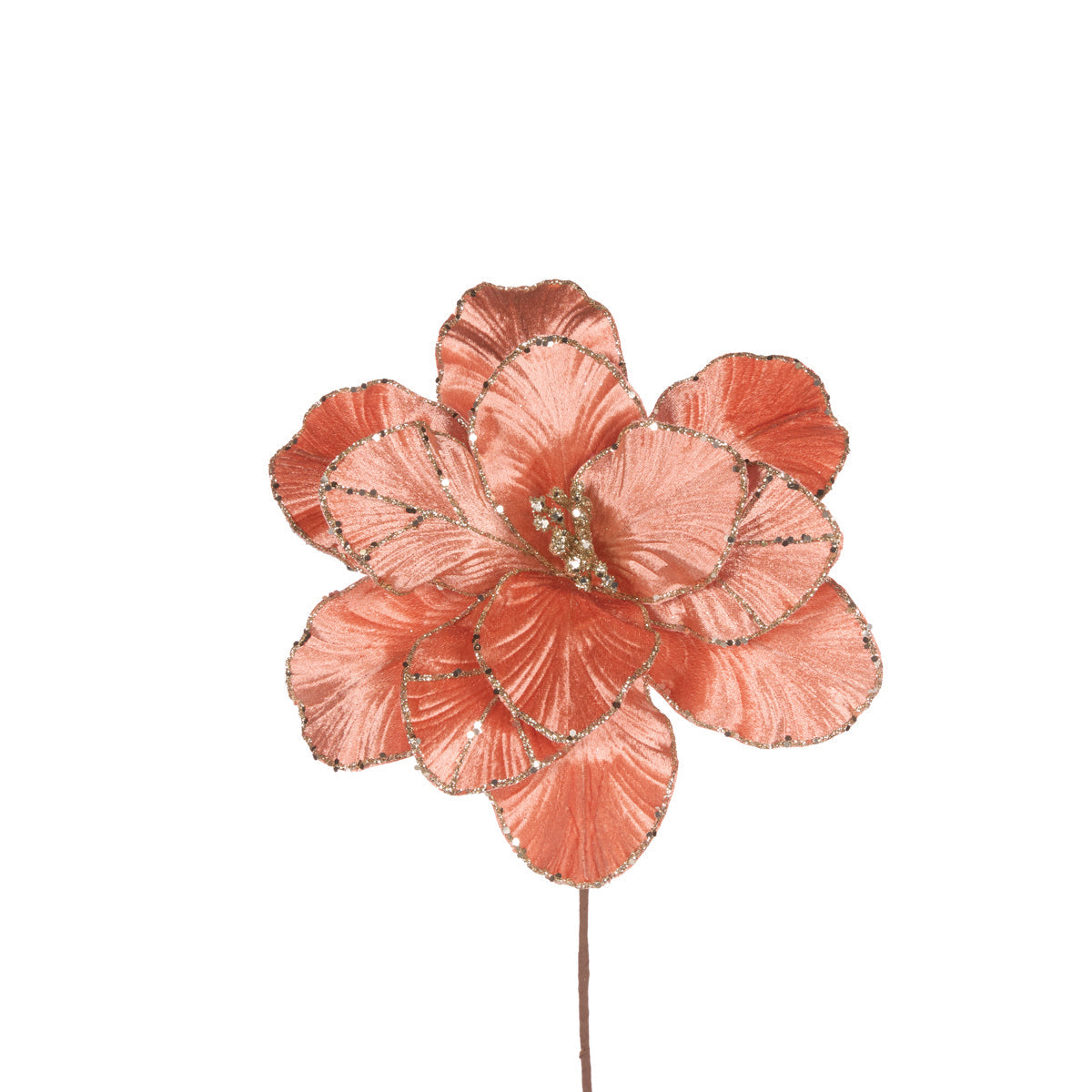 CORAL VELVET MAGNOLIA