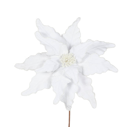 White Poinsettia