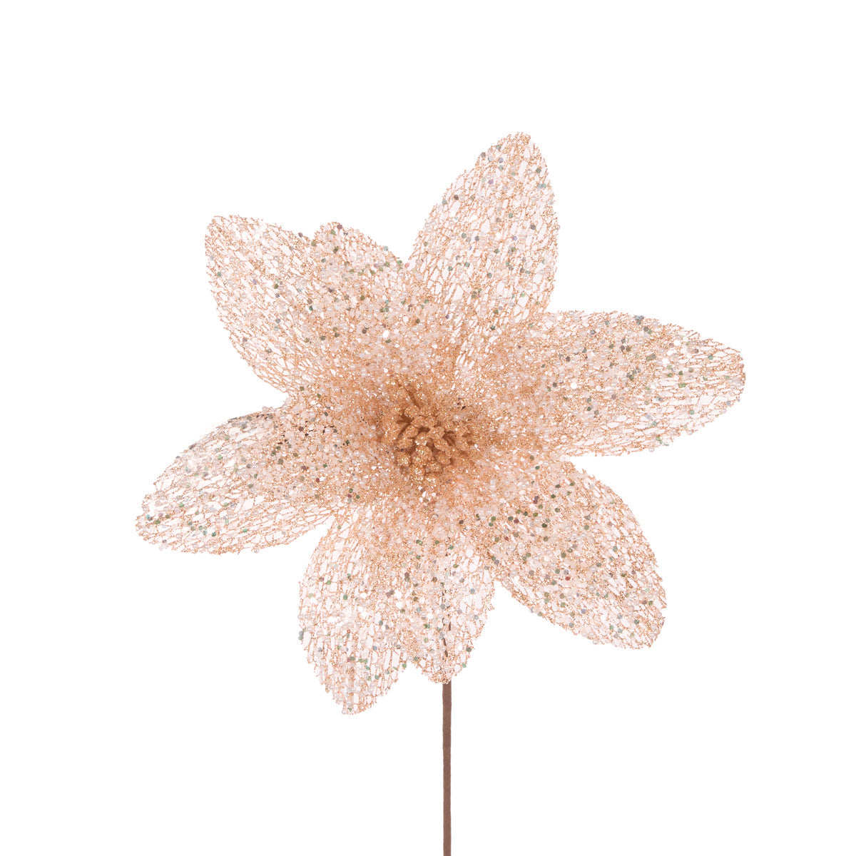 SHEER CORAL GLITTERED POINSETTIA