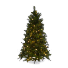 Load image into Gallery viewer, Douglas Fir Green Tree 9.5Ft - 760 Led
