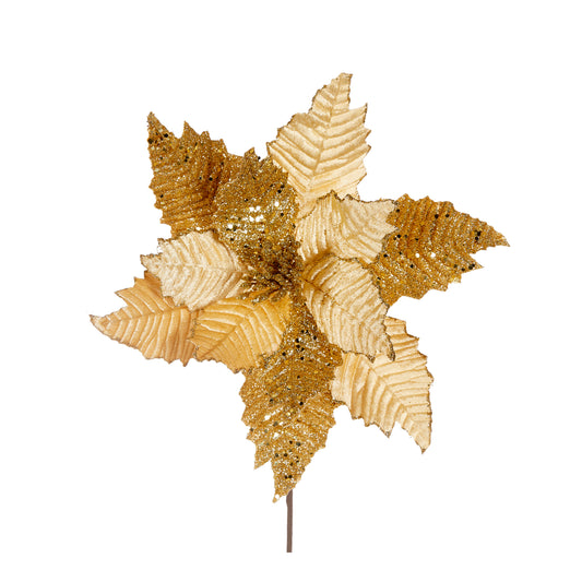 Gold Poinsettia