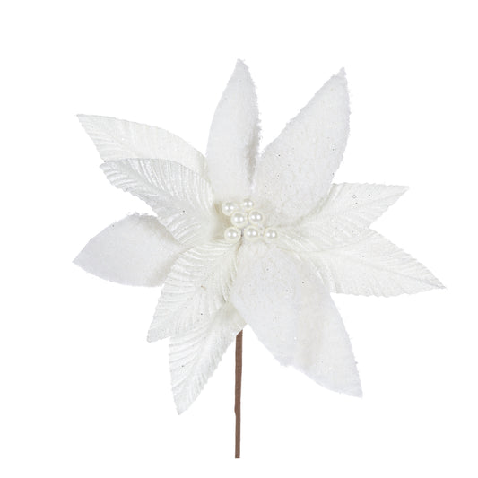 Ivory Snowy Poinsettia