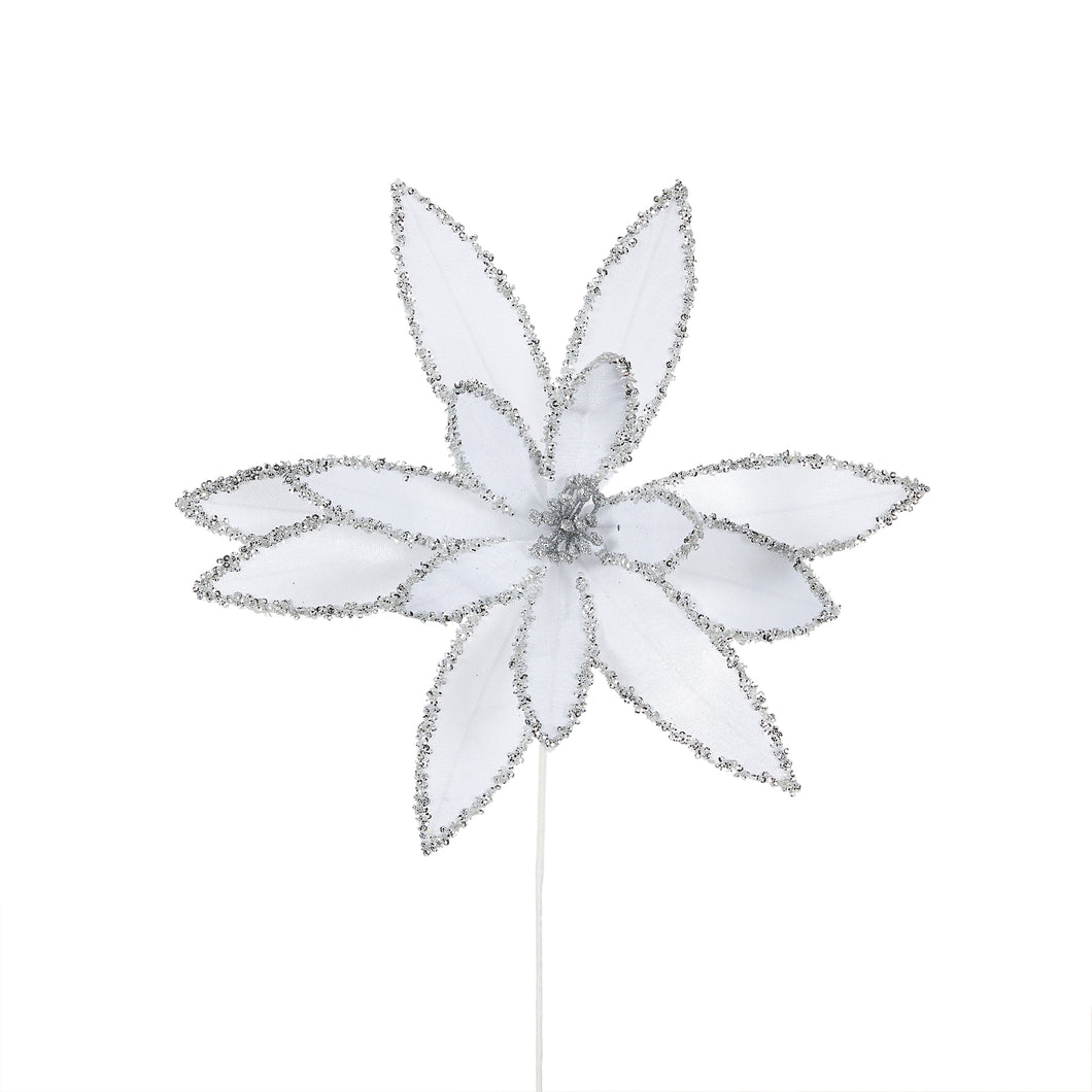 White And Silver Poinsettia