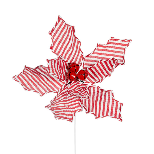 Peppermint Stripe Poinsettia