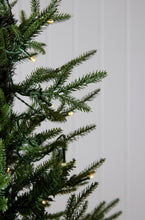 Load image into Gallery viewer, 5.5Ft Balsam Fir Green Tree - 320 Led

