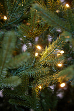 Load image into Gallery viewer, 7.5 Ft Balsam Fir Green Tree - 570 Led
