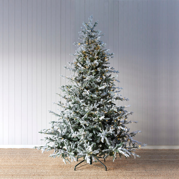 8 Ft. Balsam Fir Snow Tree - 560 LED – Holly & Ivy