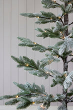 Load image into Gallery viewer, 250 Cm Led Snowy Spruce Tree
