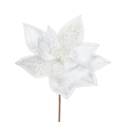 White and Sheer Poinsettia