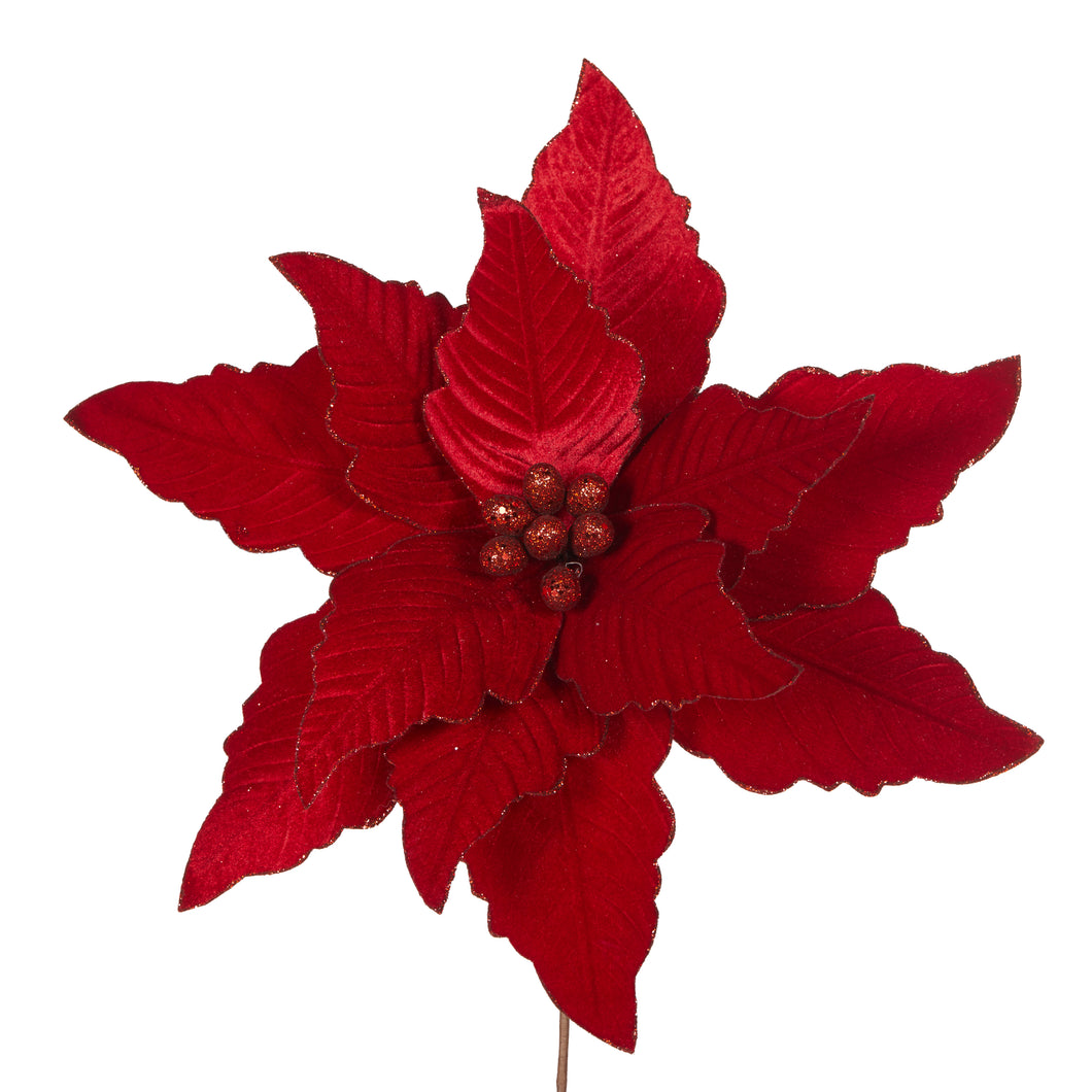 Luxe Red Poinsettia