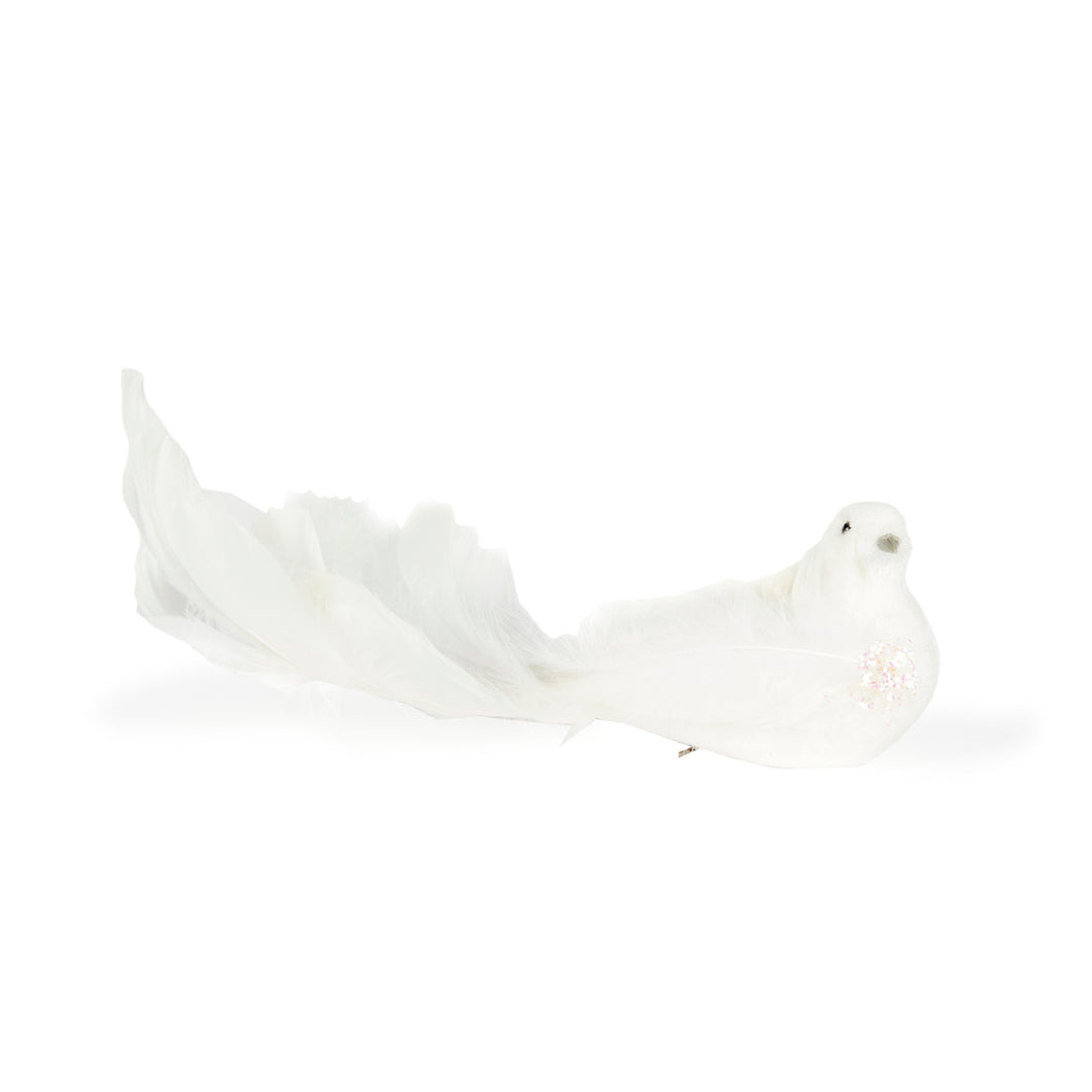 White Dove Clip Bird