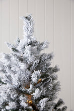 Load image into Gallery viewer, 5.5 Ft Douglas Fir Snow Tree - 230 Led
